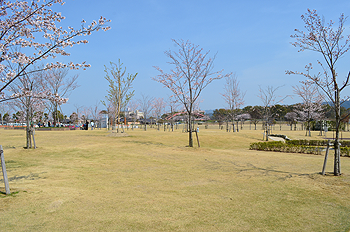 筑後広域公園の写真