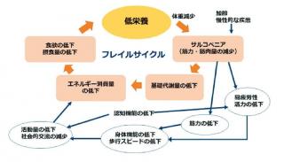 フレイル サルコペニアを知ろう 地方独立行政法人 筑後市立病院