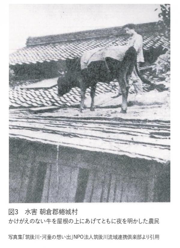 西日本豪雨　牛を屋根の上にあげて避難する写真