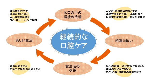 きれいなお口の好循環