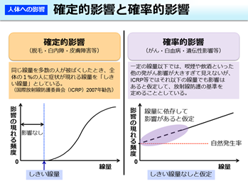 確定的影響と確率的影響のグラフ