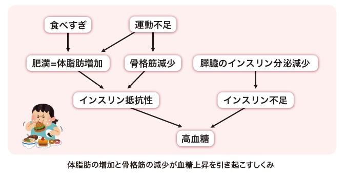 インスリンの仕組み