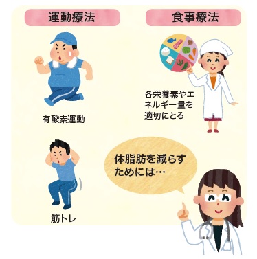 運動療法、食事療法のイラスト
