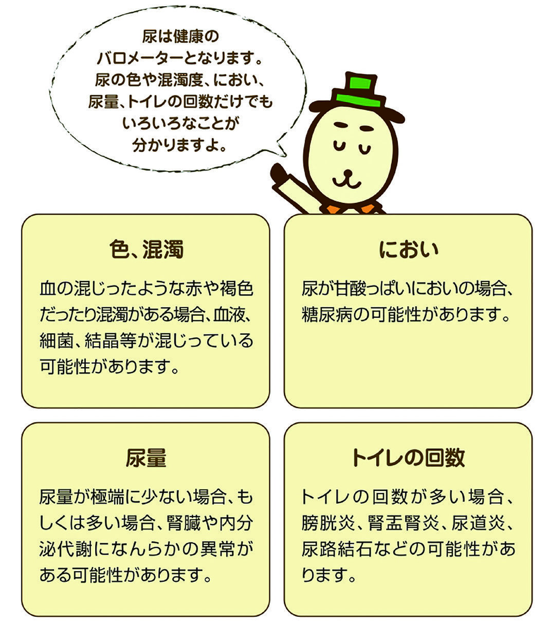 尿検査自分で確認ポイントイラスト 尿検査自分で確認ポイントイラスト