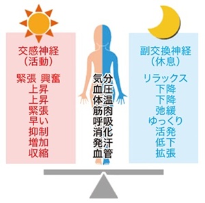 ストレッサー図1