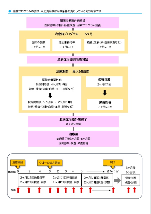 治療プログラムの流れ 治療プログラムの流れ