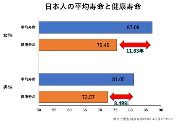 図1