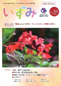 izumi54hyousi izumi54hyousi